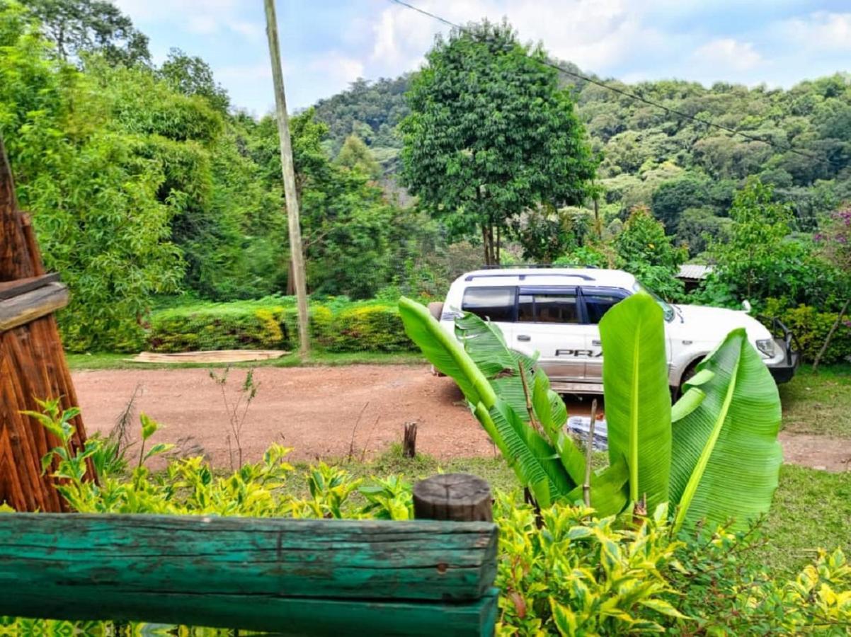 Ruhija Community Rest Camp Bed & Breakfast Kabale Exterior photo