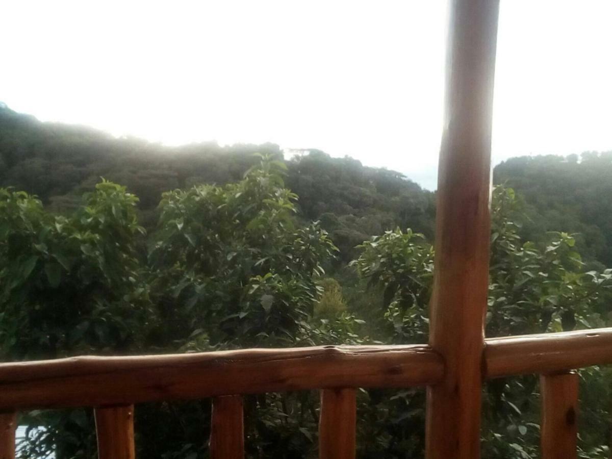 Ruhija Community Rest Camp Bed & Breakfast Kabale Exterior photo