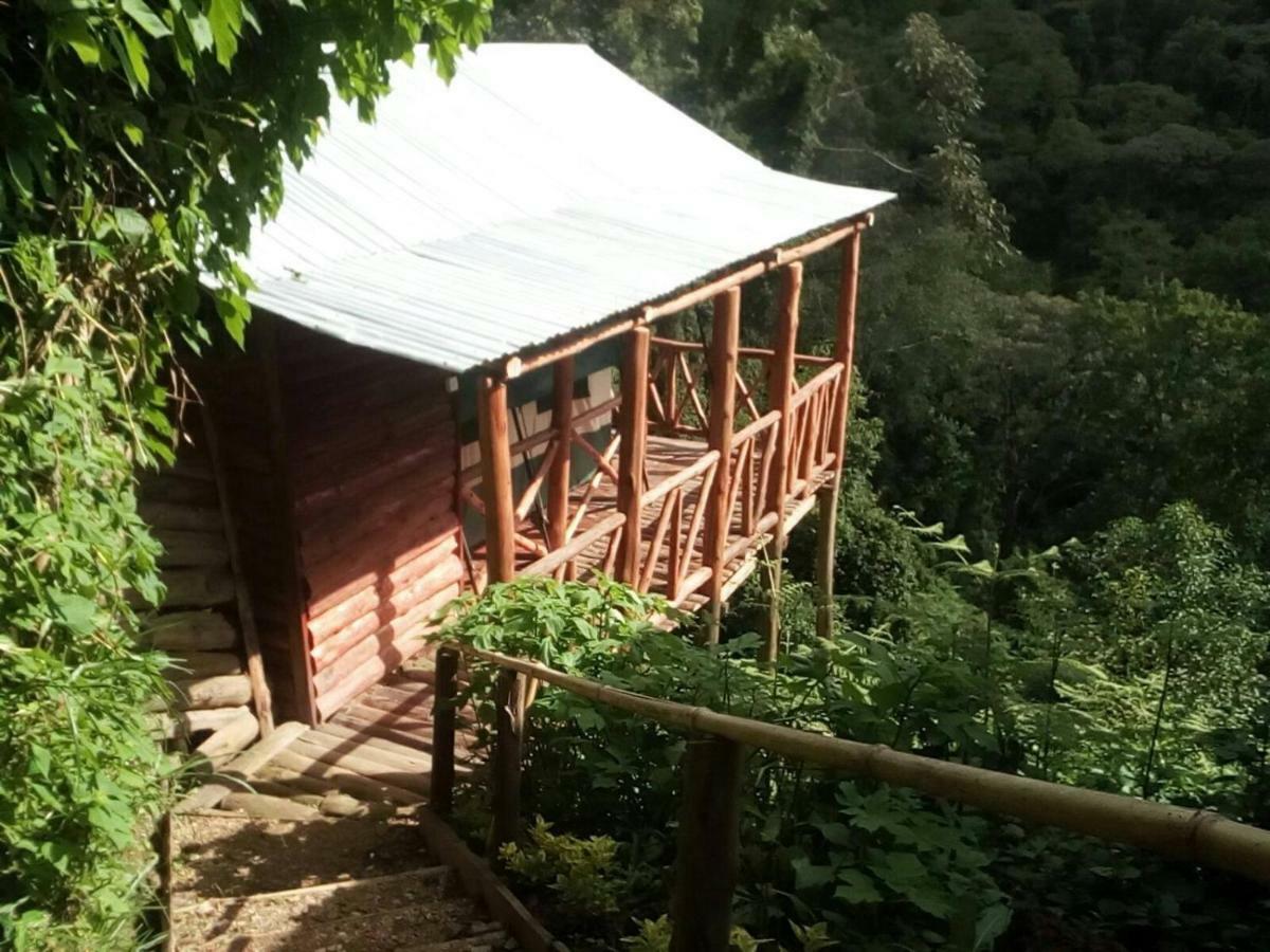 Ruhija Community Rest Camp Bed & Breakfast Kabale Exterior photo